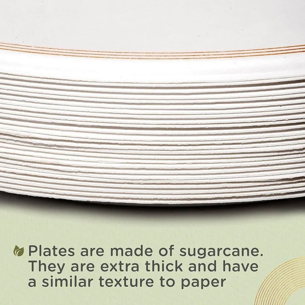 150 PCS Disposable Eco-Friendly Premium Dinnerware for Parties, Events Serves 25
